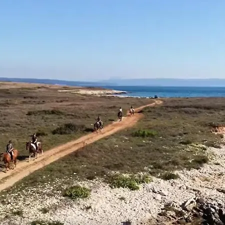 Marianne Apartament *